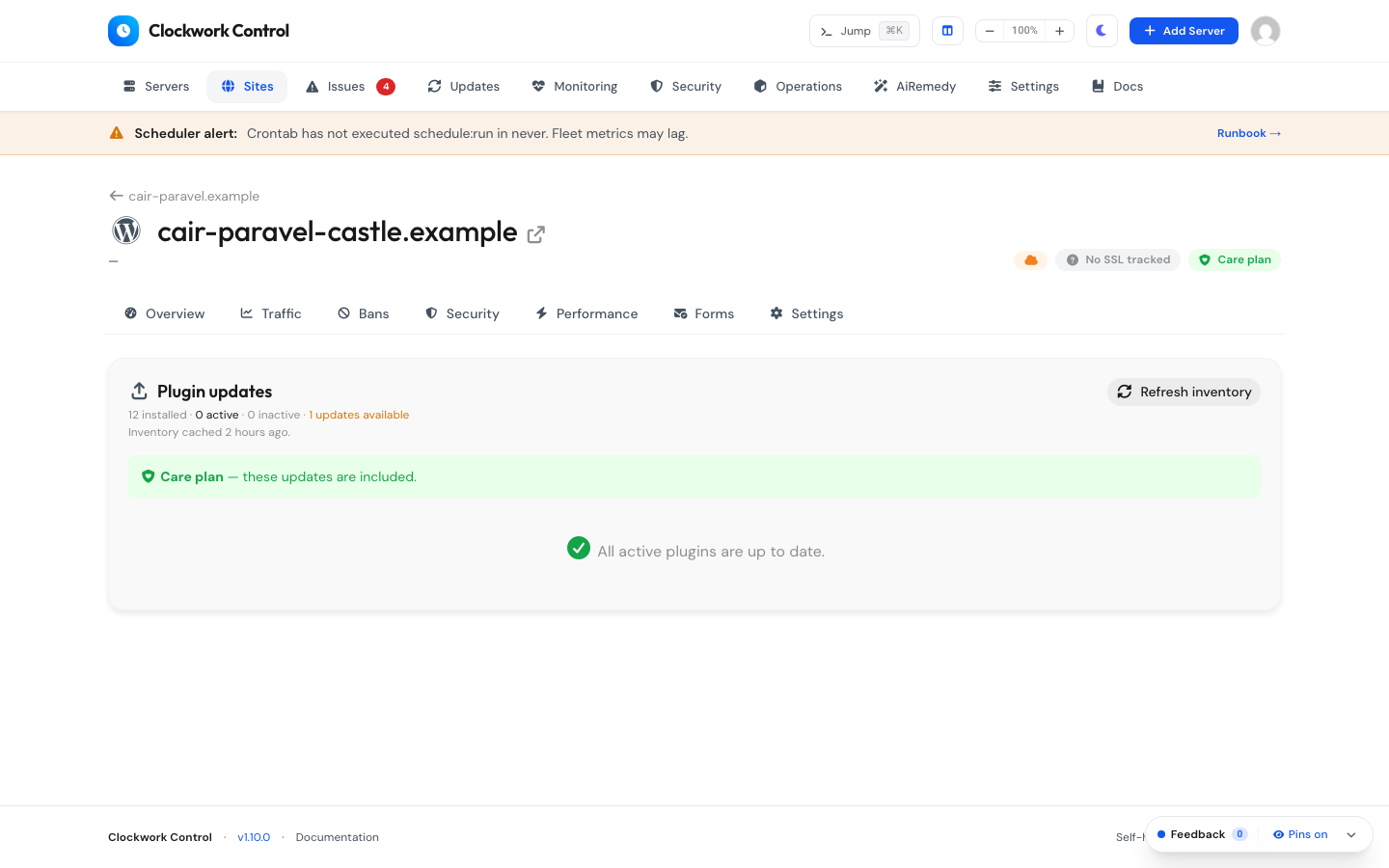 Site WordPress & Plugin Updates